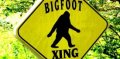 BoatinBigfoot's Avatar