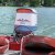 Cutter Boats Ltd - Crazy for those fins 1957-1960 - 1959 Cutter - Cabin Cruiser